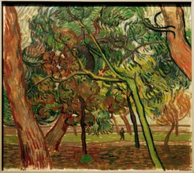 Studie mit Fichten im Herbst